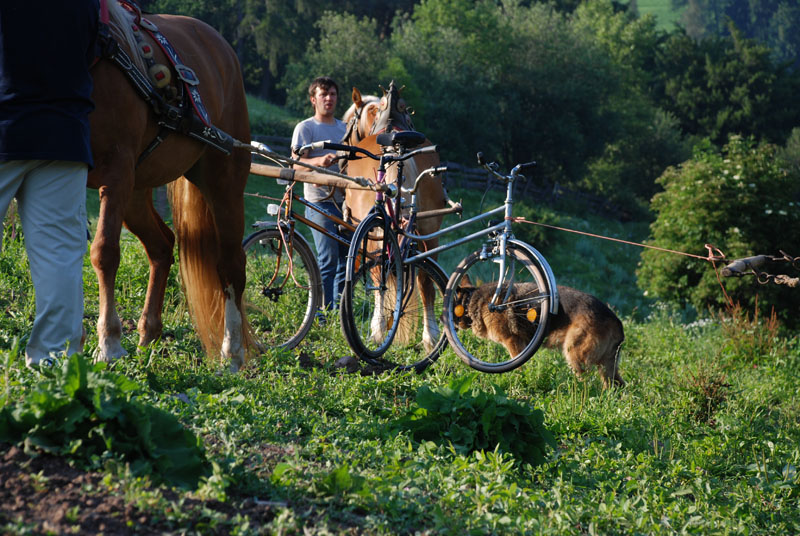 etant donne bicycle machine