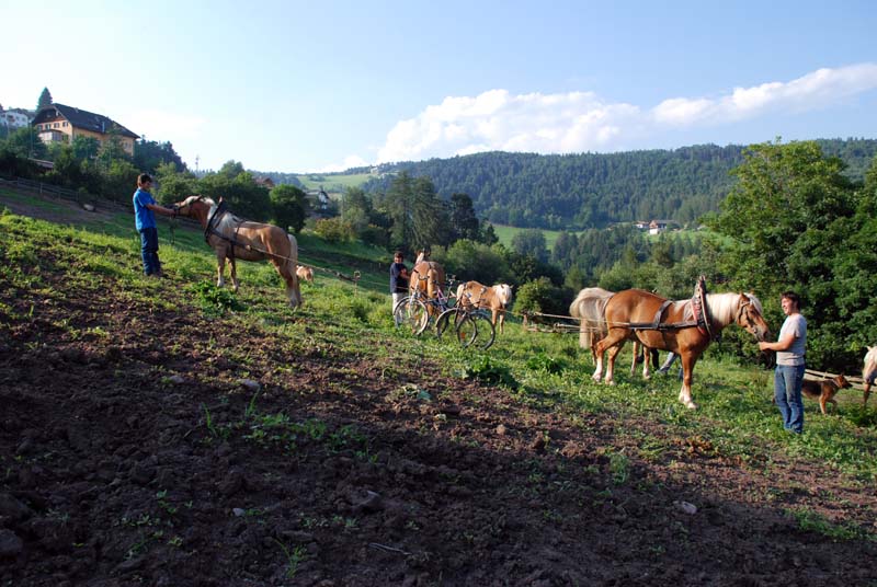 etant donne bicycle machine