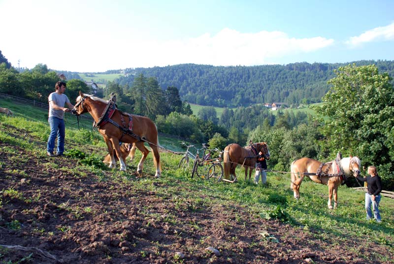 etant donne bicycle machine