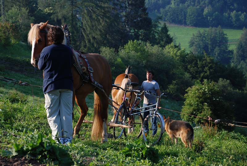 etant donne bicycle machine