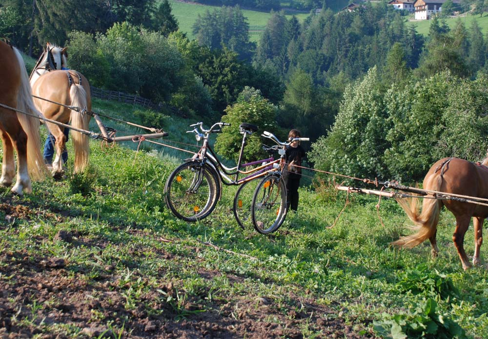 etant donne bicycle machine